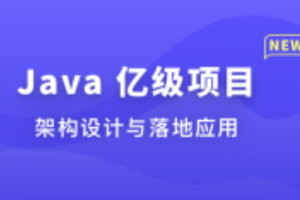  体系课-Java 亿级项目架构设计与落地应用（完结）